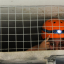 nicole-caving-1-of-1.jpg