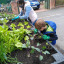 img-20210507-175646.jpg