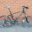 new-bike-1.jpg