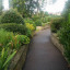 walkway-august-17.jpg