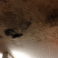 leakingroof.jpg