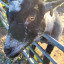 img-1443.jpeg