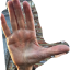 go-back-home-photo.png