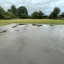 img-7777.jpg