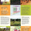 horsenden-flyer.jpg