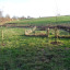 pond-approx-2.jpg