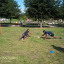 img-20210828-112137.jpg