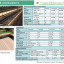 slide-3.jpg