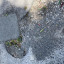 img-7730.jpeg