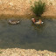 img-1631-1.jpg