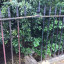 damaged-railings-two.jpg
