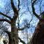 img-0065.jpg