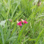 20160517-133517.jpg