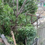 img-9788.jpg