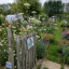 allotment-open-plot-2.jpg
