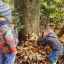 nov-making-nest-2.jpg