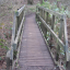 bridge-1.jpg