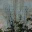 img-4330.jpeg