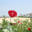 waw-image-1-002.jpg
