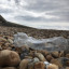 plastic-bottle-pic.jpeg