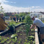 grow-speke-1.jpg