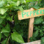 holy-name-small-photos-06.jpg