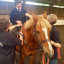 img-6043.jpeg