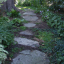 woodlandgarden2.png