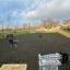 img-5874.jpg