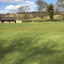 hcc-ground-mar-20.jpg