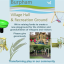 burpham.png