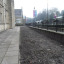 SDC12271.JPG.jpg
