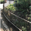 img-8618.jpg