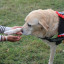 king-west-productions-parkview-health-wellbeing-2024-3613.jpg
