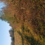 20201129-145250.jpg