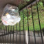 after-clear-up.jpg