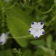 img-9221-2.jpg