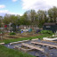 allotments-3-email.jpg