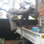 community-garden-1.jpg