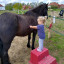 img-20210510-141240360-hdr.jpg