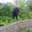april-2017-gardeners-3.jpg