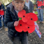 darren-poppies.jpg