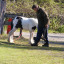 dscf-3435.jpg