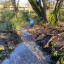 stream-1-s-s-img-9373.jpg