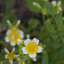 img-9224-2.jpg