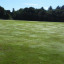 2016-08-06-09-05-47.jpg