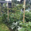 eaa-summer-plots.jpg