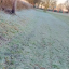 path-now-2.jpg