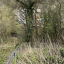img-4673.jpeg