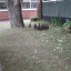linskill-garden.png